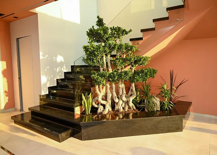 Bliss Luxury *